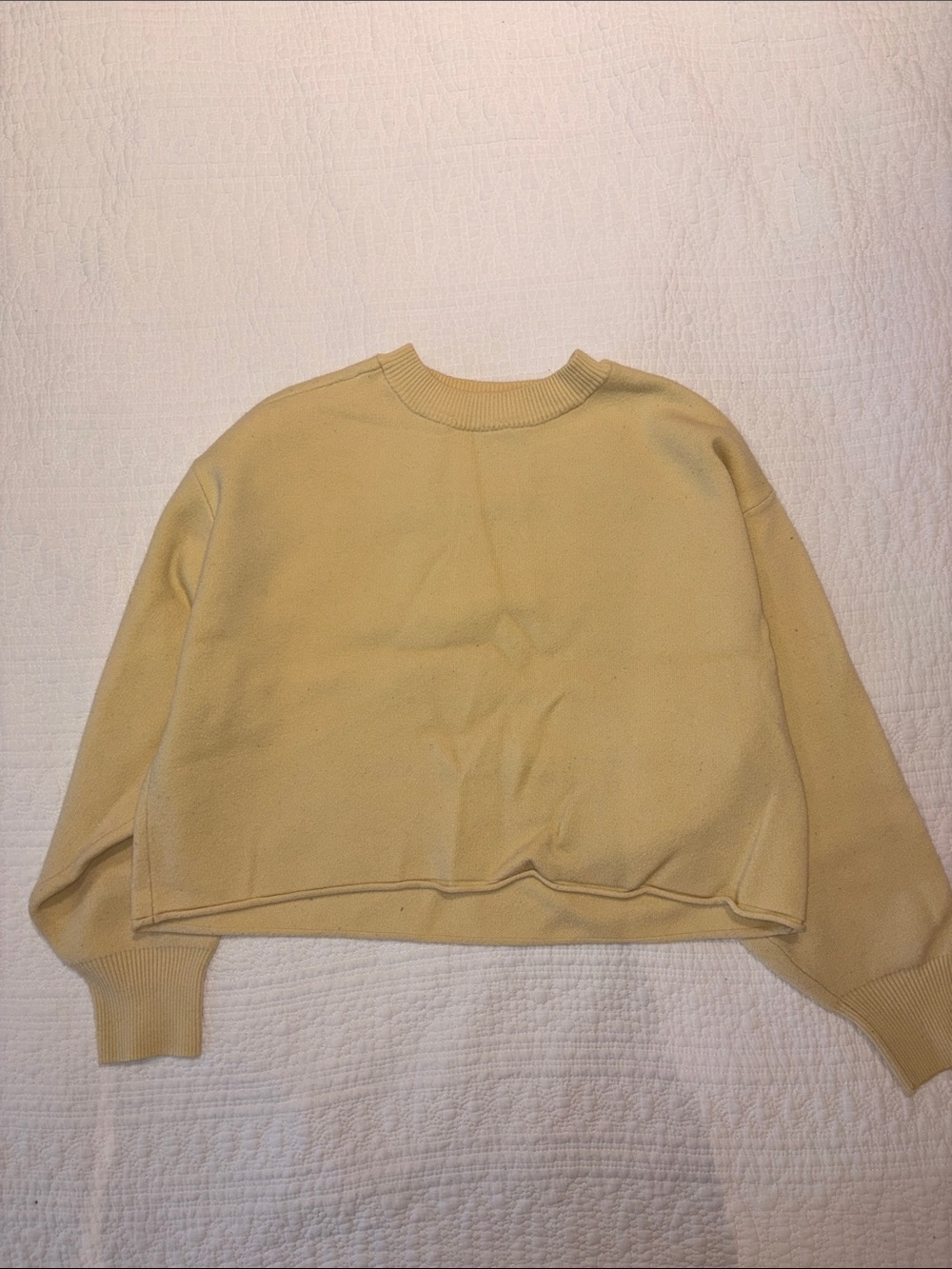 twik Soft Pale Yellow Cropped Crew Sweater